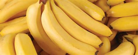 香蕉煮熟吃功效与作用 香蕉煮熟吃有哪些功效与作用_知秀网