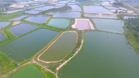 智能鱼塘-现代农业-DTU、RTU数据传输|深圳市庆云紫光科技