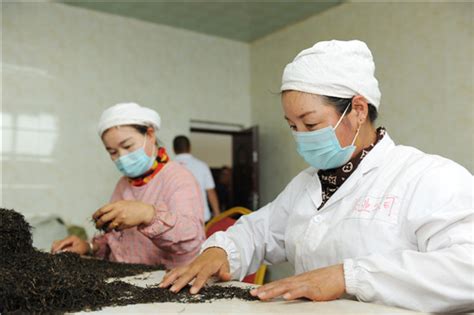 西藏这十年：林芝市经济社会发展成就显著_荔枝网新闻