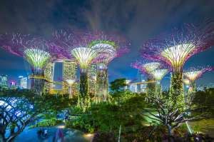 新加坡之夜高清图片下载-正版图片502641832-摄图网