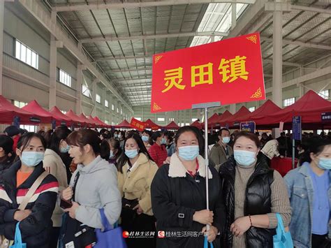 “我为群众办实事”：灵田镇组织群众参加现场招聘会-桂林生活网新闻中心