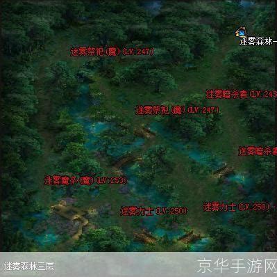 迷雾森林地图:迷雾森林探险：揭秘神秘地图背后的游戏世界 - 京华手游网