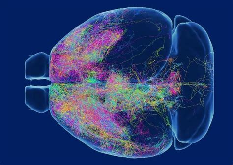 常用的几种卷积神经网络介绍