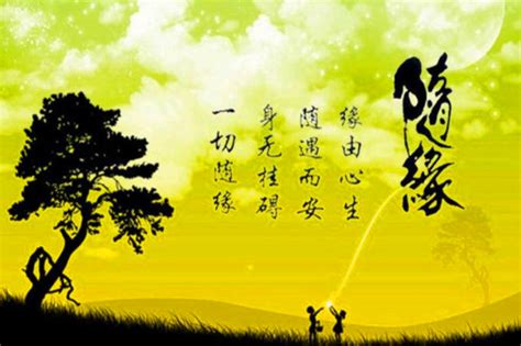 随缘图片