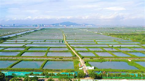 生态养殖基地-汉川市南河古渡生态农业发展有限责任公司
