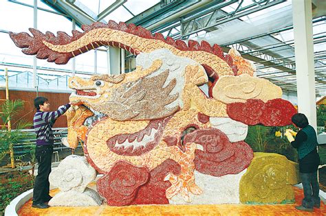 哈尔滨：用种子制作的巨龙雕塑完工(图) - 资材资讯 - 园林资材网