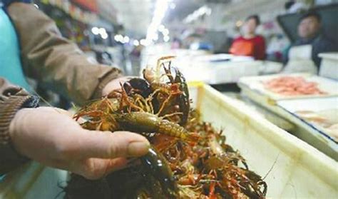 寻找最好吃的小龙虾：挑虾、洗虾、比较调味包_原创_新浪众测