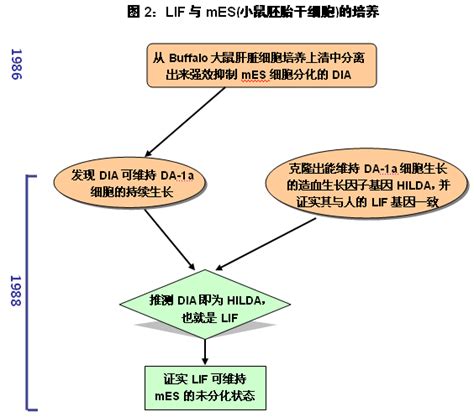 敏泰元生物 - 细胞与免疫学专业服务平台