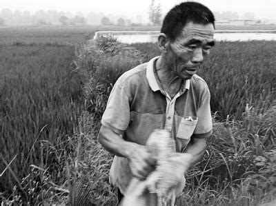 河南66岁农民跳进水塘连救4人：情愿拿自己的命去换孩子的命-宁夏新闻网