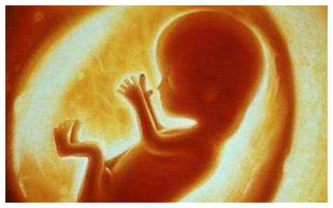 怀孕38周和40周的胎儿出生后没差别？孕妈来看看，差别还挺大