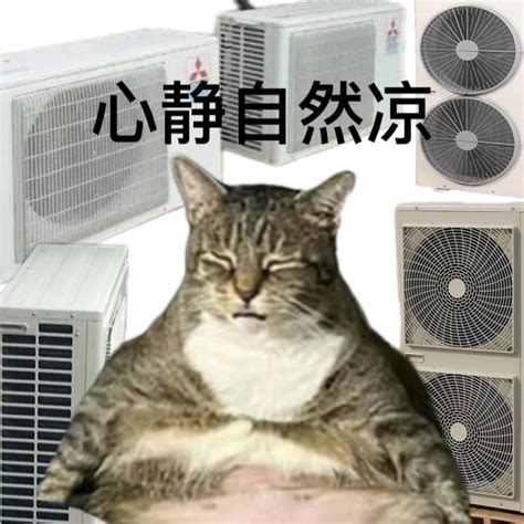 心凉表情图片