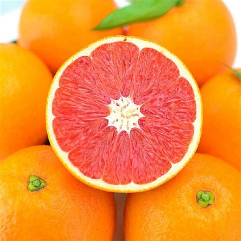 冬天吃橙子怎么加热-百度经验