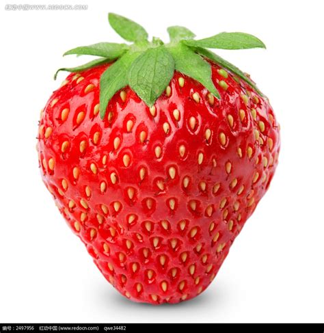 新鲜草莓水果图片免费下载_红动网