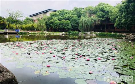 武汉科技大学城市学院-新闻网