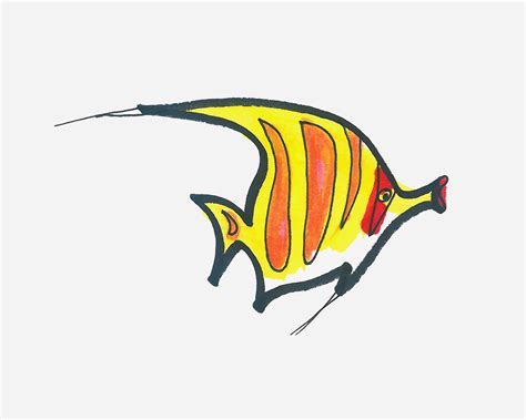 漂亮热带鱼简笔画画法图片步骤 - 有点网 - 好手艺