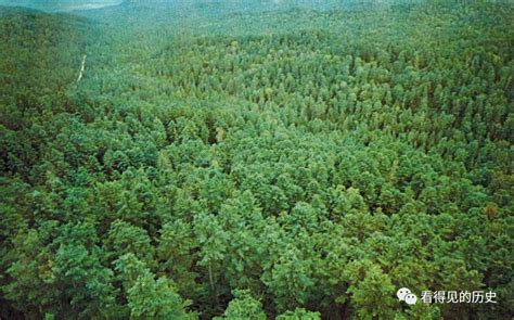 东北林区主要树种及林分类型生物量模型_科学商城——科学出版社官网