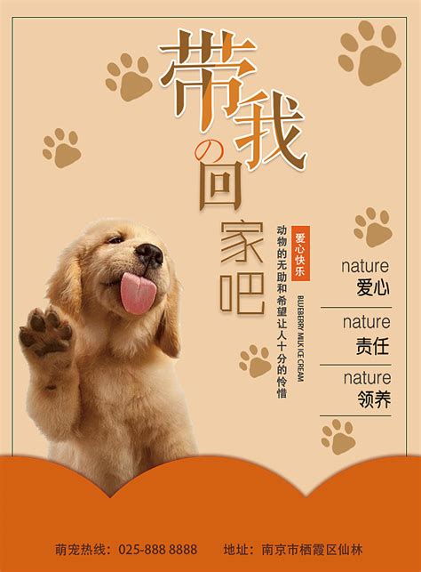 2021年中国宠物产业发展总结及趋势分析：宠物产业仍将具有较大发展潜力__财经头条