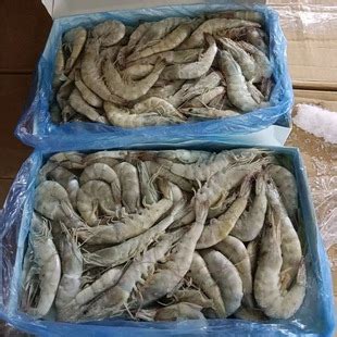 海水大虾鲜活海鲜超大青岛海虾冷冻白虾冻虾商用整箱批发基围虾-阿里巴巴