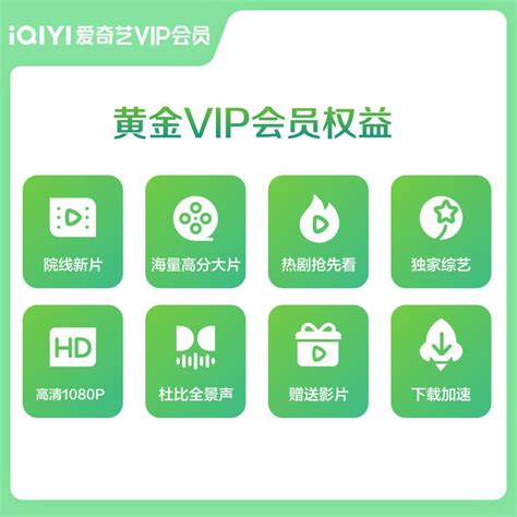 【爱奇艺VIP特别版电脑版】爱奇艺VIP特别版永久会员 v2024 PC版-开心电玩
