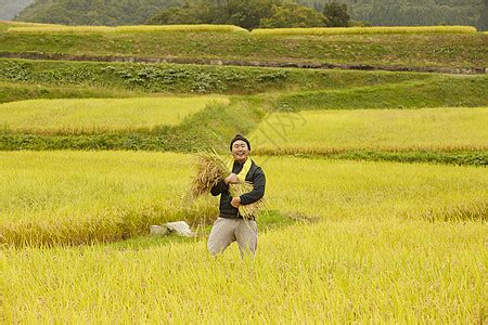 农业工作者水稻米丰收高清图片下载-正版图片502049540-摄图网