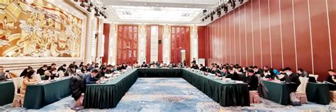 湖北省公共管理研究会2023年度第一次常务理事会在我院顺利召开-政治与公共管理学院(新)