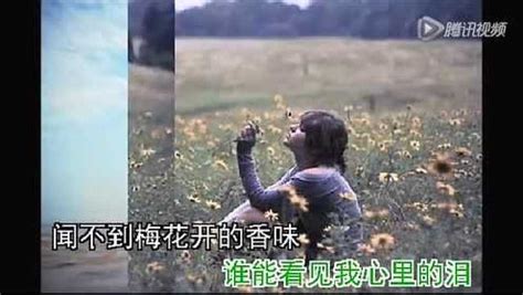 《谁在意我流下的泪》（笑傲江湖版）_腾讯视频