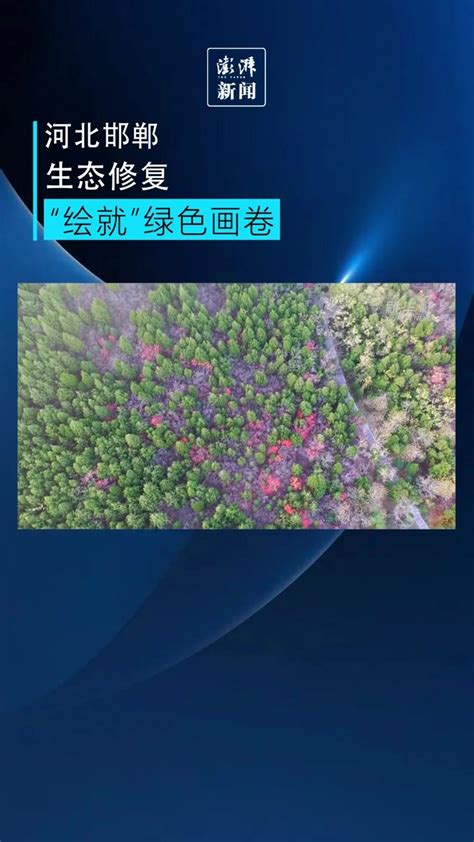 河北邯郸：生态修复“绘就”绿色画卷_凤凰网视频_凤凰网