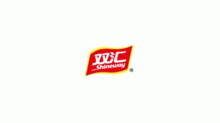 双汇食品Logo设计标志logo设计,品牌vi设计