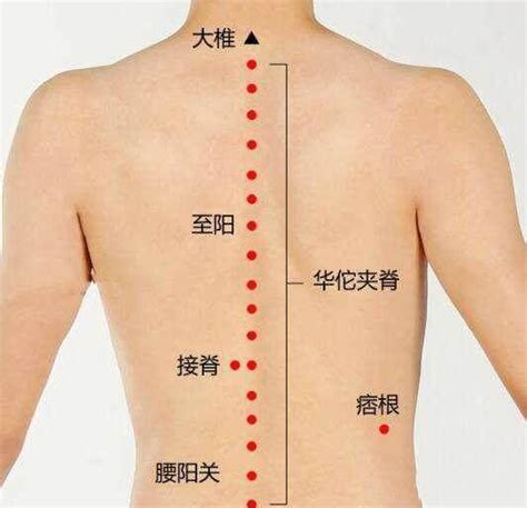 飞扬穴主治病症准确穴位位置定位图（飞扬穴的准确位置图作用功效）