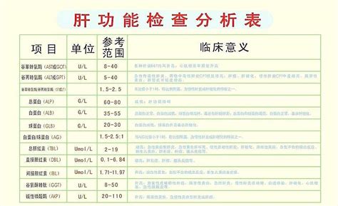 慢性乙肝检查需要查哪几项_有慢性乙肝需要做哪些检查_有慢性乙肝需要检查什么_北京大学人民医院_肝病研究所_主任医师_魏来|视频科普| 中国医药 ...