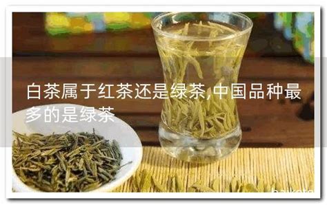 白茶与绿茶之间的区别_360新知