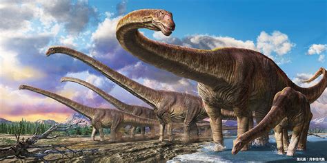 世界上最大的恐龙是什么龙_360问答