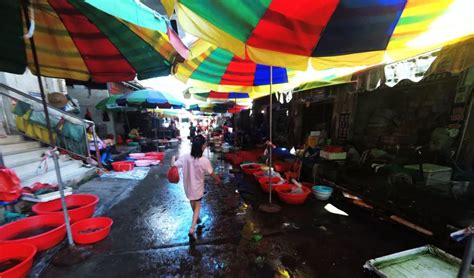 广西钦州港码头最大的海鲜市场，各种各样的海鲜琳琅满目，新鲜肥美又便宜_腾讯视频}