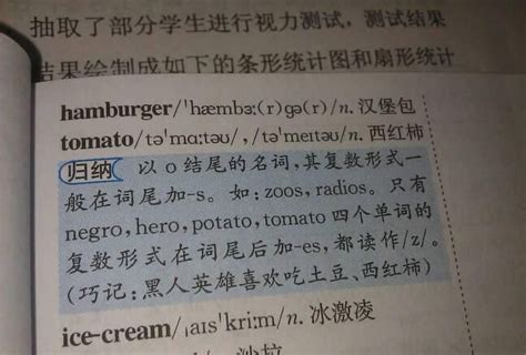 汉堡包英文复数怎么读,hamburger怎么读 - 英语复习网