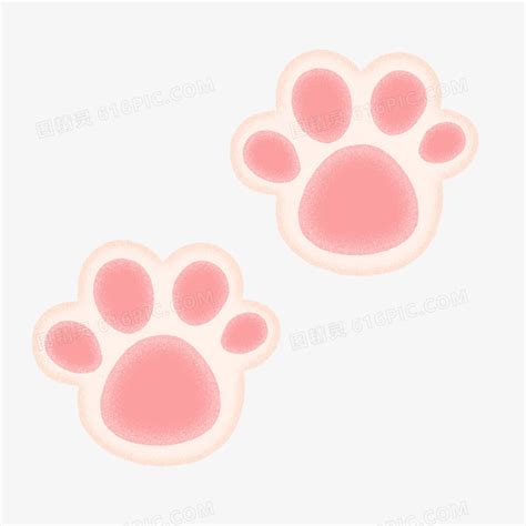猫爪子图片