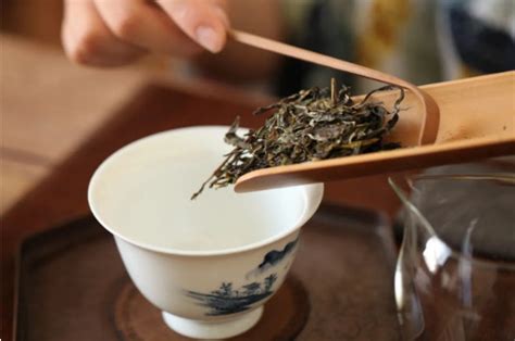 普洱茶批发市场在哪里 - 茶叶百科 - 聚艺轩