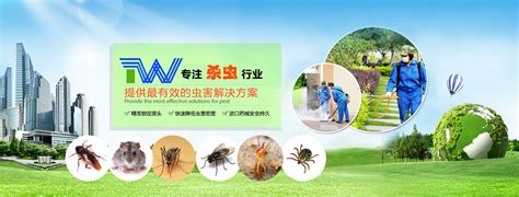 除四害|灭鼠灭蚊灭蝇灭蟑螂的标准分别是什么|东方汉诺除四害公司