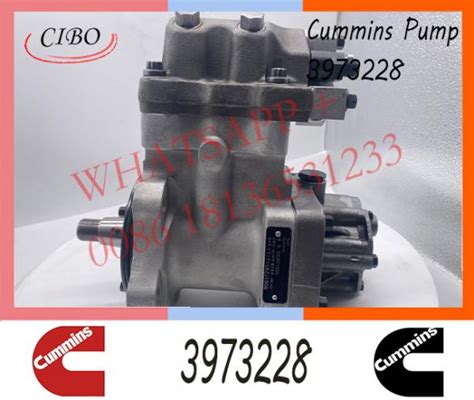 Cummins PC200 Diesel Engine Fuel Injection Pump 3973228 4903462 4954200 ...