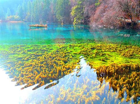 九寨沟旅游最佳时间(旅游攻略几月份去好)-风水人