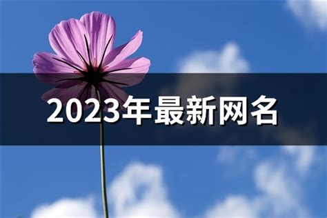 2023年最新网名(精选2024个)