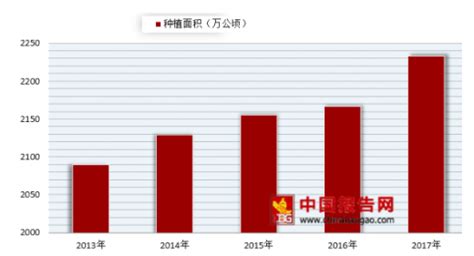 济南章丘：昔日蔬菜批发市场大变身 产业“金钥匙”打开小康门 - 中国网新山东创富山东 - 中国网·新山东 - 网上山东 | 山东新闻