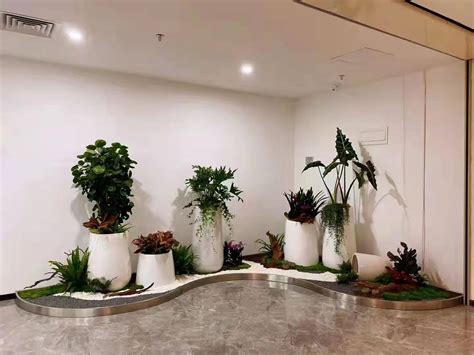 室内景观设计-室内景观规划-植物墙|立体绿化|垂直绿化|立体花架|PVC花箱|铝合金花箱|无土栽培产品-现代时园艺景观