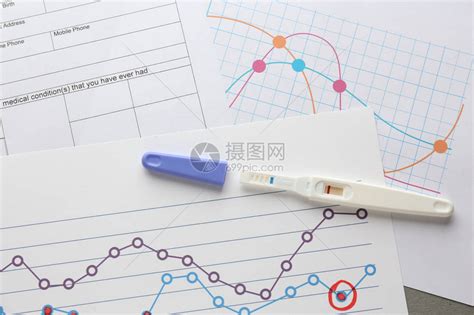 排卵期图片