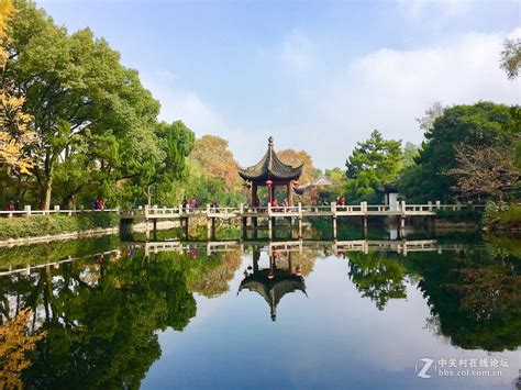 上海五大古典园林之一古猗园-上海旅游攻略-游记-去哪儿攻略