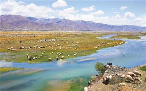 日喀则市桑珠孜区不断将生态文明建设引向深入