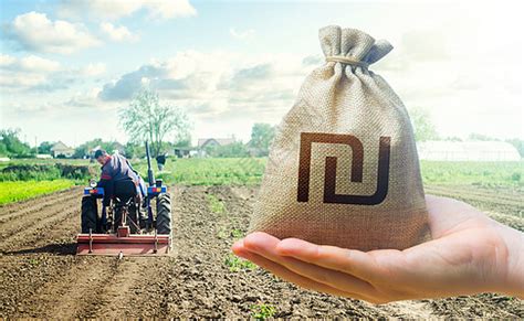 发展农村经济的利器：农村信用社贷款支持农民和农业企业 - 爱book