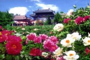 第27届菏泽牡丹文化旅游节今日在曹州牡丹园举行
