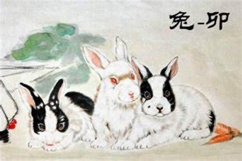 晚年富贵的四大生肖 兔年之前是什么年龄_太岁_若朴堂文化
