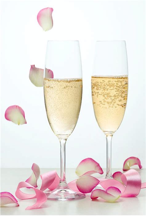 两杯香槟酒图片-白色背景上的两杯香槟酒和散落的粉红色花瓣素材-高清图片-摄影照片-寻图免费打包下载