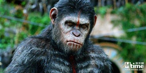 《猩球崛起3》最新预告片发布 人猿终极一战打响_3DM单机